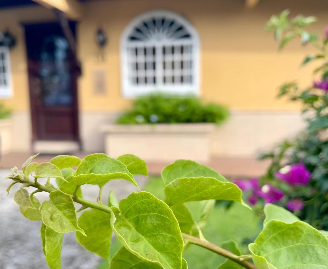Sofia'S B&B Hostal Boutique Panama City Ngoại thất bức ảnh
